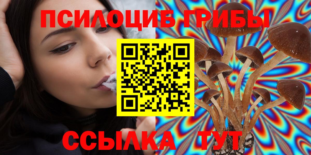Галлюциногенные грибы Psilocybine cubensis  Псилоцибиновые грибы прущие грибы  Вход с VPN  Сызрань 